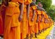 Thailand: Some of the 500 <i>dhutanga</i> monks processing around Chiang Mai's central moat on a bed of flower petals. April 9, 2014